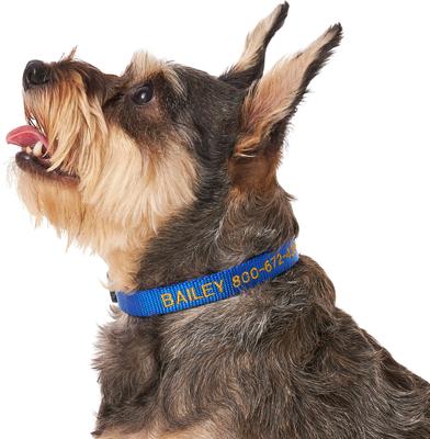 Show full view: Frisco Nylon Personalized Dog Collar, Blue, Small: 10 to 14-in neck, 5/8-in wide slide 5 of 8
