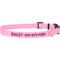 Show in main carousel: Frisco Nylon Personalized Dog Collar, Pink, Large: 18 to 26-in neck, 1-in wide slide 1 of 9
