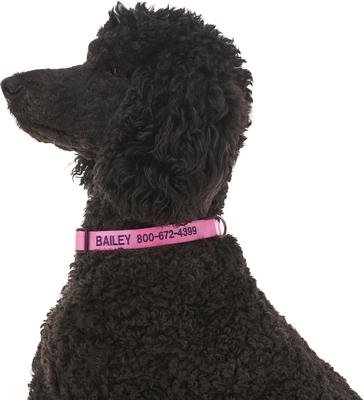 Show full view: Frisco Nylon Personalized Dog Collar, Pink, Large: 18 to 26-in neck, 1-in wide slide 6 of 9