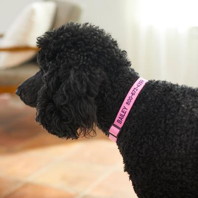 Show full view: Frisco Nylon Personalized Dog Collar, Pink, Large: 18 to 26-in neck, 1-in wide slide 7 of 9