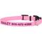 Show in main carousel: Frisco Nylon Personalized Dog Collar, Pink, Small: 10 to 14-in neck, 5/8-in wide slide 1 of 10
