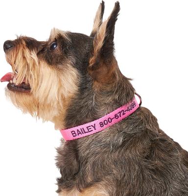 Show full view: Frisco Nylon Personalized Dog Collar, Pink, Small: 10 to 14-in neck, 5/8-in wide slide 7 of 10