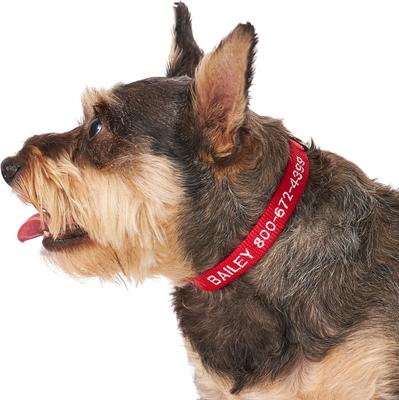 Show full view: Frisco Nylon Personalized Dog Collar, Red, Small: 10 to 14-in neck, 5/8-in wide slide 6 of 9