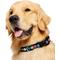 Show in main carousel: Frisco Nylon Reflective Dog Collar, Black, Large/X-Large slide 3 of 9