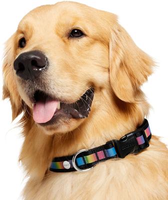 Show full view: Frisco Nylon Reflective Dog Collar, Black, Large/X-Large slide 3 of 9