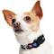 Show in main carousel: Frisco Nylon Reflective Dog Collar, Black, X-Small slide 3 of 9