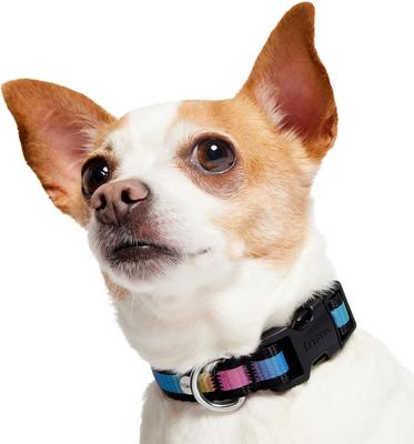 Show full view: Frisco Nylon Reflective Dog Collar, Black, X-Small slide 3 of 9