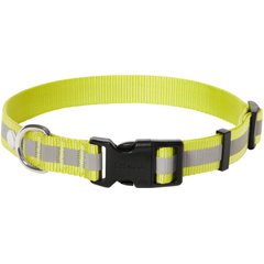 Frisco Nylon Reflective Dog Collar, Limeade, Large/X-Large