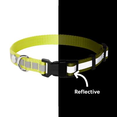 Show full view: Frisco Nylon Reflective Dog Collar, Limeade, Medium slide 4 of 9