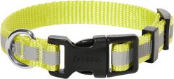 Frisco Nylon Reflective Dog Collar, Limeade, X-Small