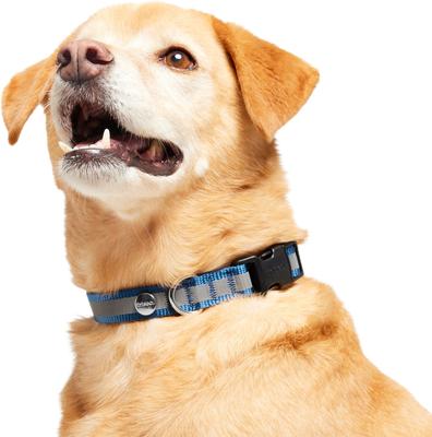 Show full view: Frisco Nylon Reflective Dog Collar, Midnight Blue, Medium slide 3 of 9