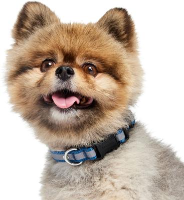 Show full view: Frisco Nylon Reflective Dog Collar, Midnight Blue, X-Small slide 3 of 9