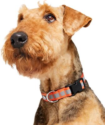 Show full view: Frisco Nylon Reflective Dog Collar, Orange, Large/X-Large slide 3 of 9