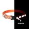 Show in main carousel: Frisco Nylon Reflective Dog Collar, Orange, Large/X-Large slide 4 of 9