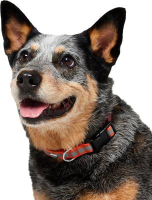 Show full view: Frisco Nylon Reflective Dog Collar, Orange, Medium slide 3 of 9