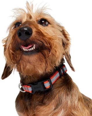 Show full view: Frisco Nylon Reflective Dog Collar, Orange, Small slide 3 of 9