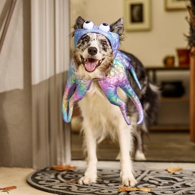 Show full view: Frisco Octopus Dog & Cat Costume, Large slide 6 of 9