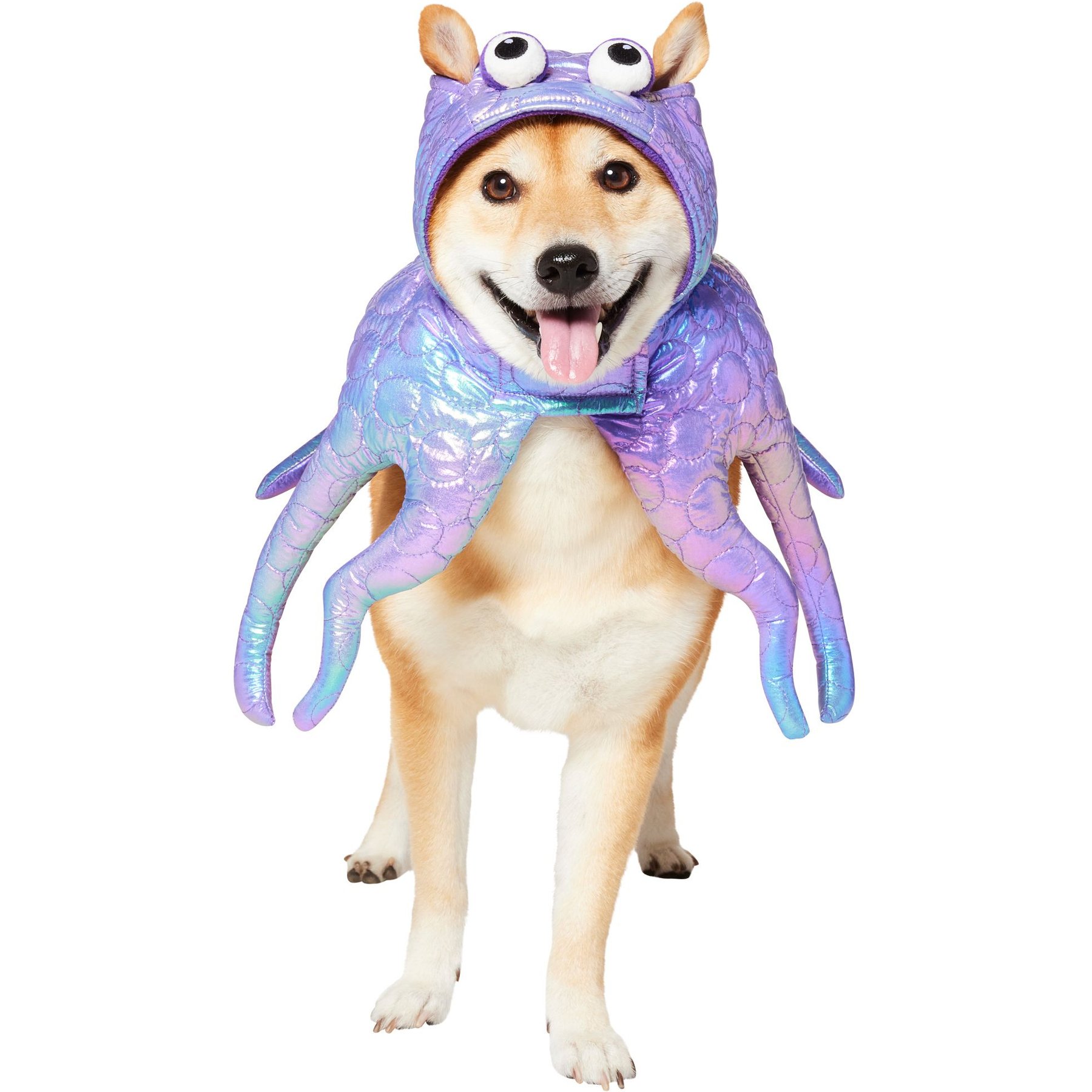 Frisco Octopus Dog & Cat Costume, Medium