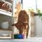 Show in main carousel: Frisco Ombre Rainbow Design Stainless Steel Dog & Cat Bowl, 4 Cups slide 3 of 10