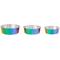 Show in main carousel: Frisco Ombre Rainbow Design Stainless Steel Dog & Cat Bowl, 4 Cups slide 6 of 10