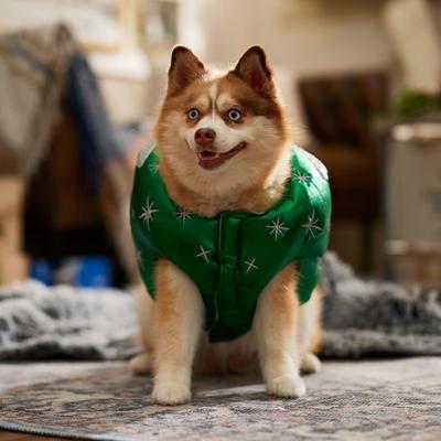 Show full view: Frisco Ornament Dog & Cat Costume, Large slide 6 of 9