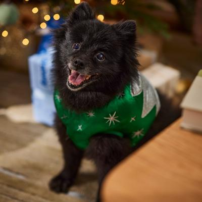 Show full view: Frisco Ornament Dog & Cat Costume, Medium slide 7 of 10