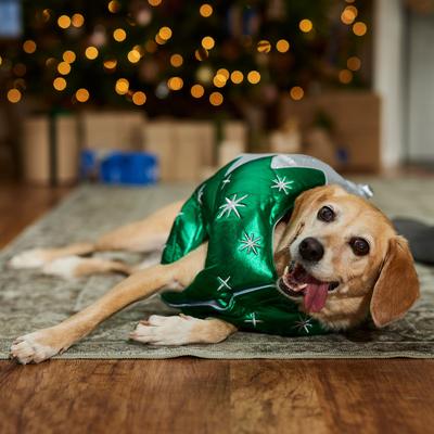 Show full view: Frisco Ornament Dog & Cat Costume, X-Large slide 6 of 9