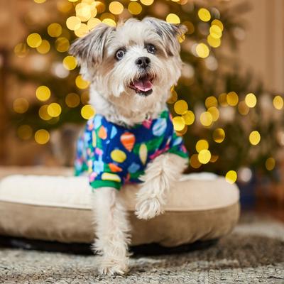 Show full view: Frisco Cozy Fleece Dog & Cat PJs, Ornament, Medium slide 8 of 12