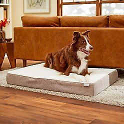 Frisco Orthopedic Pillow Cat & Dog Bed, Beige, X-Large