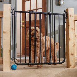 Frisco Outdoor Dog Gate - Black