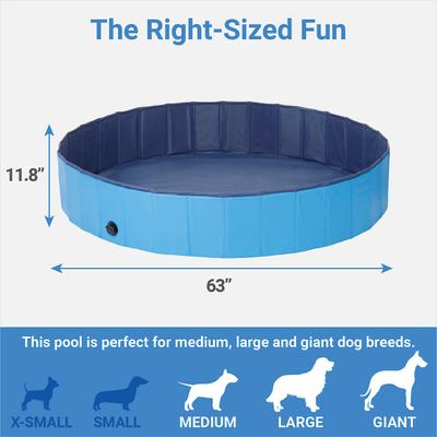 Show full view: Frisco Outdoor Dog Swimming Pool, Blue, XX-Large slide 2 of 5