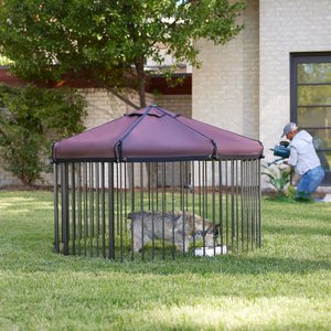 Frisco Outdoor Galvanized Steel 8-Panel Configurable Gate & Playpen with Oxford Roof, 30-in