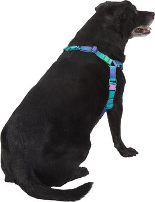 Show full view: Frisco Outdoor Green Ombre Style Dog Harness, L - Girth: 24-34-in slide 4 of 7