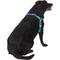 Show in main carousel: Frisco Outdoor Green Ombre Style Dog Harness, S - Girth: 16-22-in slide 4 of 7