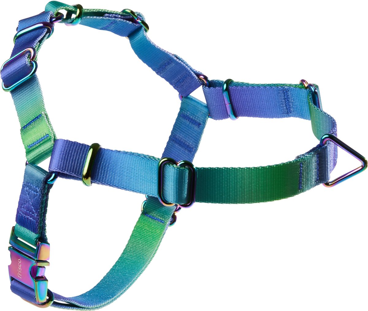 Frisco Outdoor Green Ombre Style Dog Harness