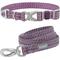 Show in main carousel: Frisco Outdoor Heathered Nylon Collar, Shadow Purple, Small - Neck: 10-14-in, Width: 5/8-in + Dog Leash, Shadow Purple, Small - Length: 6-ft, Width: 5/8-in slide 1 of 9