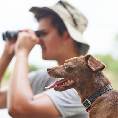 Show full view: Frisco Outdoor Heathered Nylon Collar, Storm Gray, SM - Neck: 10-14-in, Width: 5/8-in slide 5 of 8