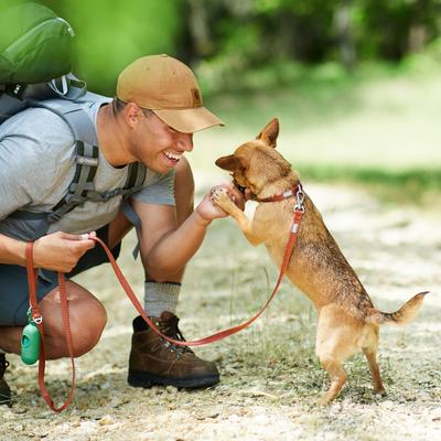 Show full view: Frisco Outdoor Heathered Nylon Leash, Mars Red, LG - Length: 6-ft, Width: 1-in slide 3 of 7