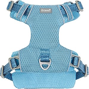Frisco Outdoor Lightweight Ripstop Nylon Dog Harness, River Blue, M - Girth: 20 - 28-in
