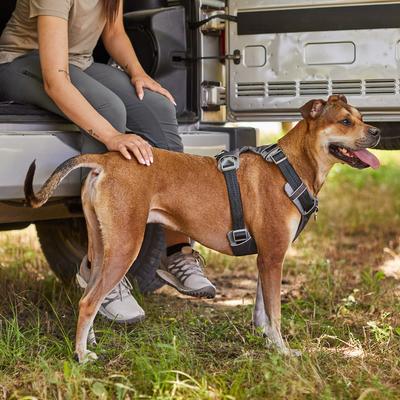 Show full view: Frisco Outdoor Lightweight Ripstop Nylon Dog Harness, Storm Gray, L - Girth: 24 - 34-in slide 5 of 7