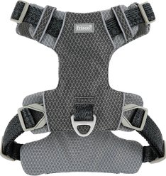 Frisco Outdoor Lightweight Ripstop Nylon Dog Harness, Storm Gray, M - Girth: 20 - 28-in