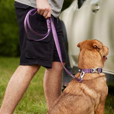 Show full view: Frisco Outdoor Lightweight Ripstop Nylon Harness, Shadow Purple, Small, Neck: 13 to 19-in, Girth: 16 to 22-in + Heathered Dog Leash, Shadow Purple, Small - Length: 6-ft, Width: 5/8-in slide 9 of 10