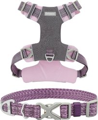 Frisco Outdoor Lightweight Ripstop Nylon Harness, Shadow Purple, Small, Neck: 13 to 19-in, Girth: 16 to 22-in + Heathered Nylon Collar, Shadow Purple, Small - Neck: 10-14-in, Width: 5/8-in