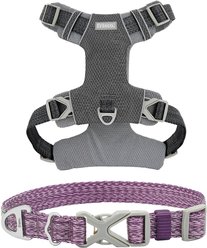 Frisco Outdoor Lightweight Ripstop Nylon Harness, Storm Gray, Large, Neck: 18 to 28-in, Girth 24 to 34-in + Heathered Nylon Collar, Shadow Purple, Large, Neck: 18 -26-in, Width: 1-in