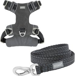 Frisco Outdoor Lightweight Ripstop Nylon Harness, Storm Gray, Medium, Neck: 15 to 23-in, Girth, 20 to 28-in + Heathered Dog Leash, Midnight Black, MD - Length: 6-ft, Width: 3/4-in