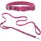 Show in main carousel: Frisco Outdoor Nylon Reflective Comfort Padded Collar, Boysenberry Purple, Extra Small, Neck: 8-12-in, Width: 5/8th -in + Dog Leash, Boysenberry Purple, Small - Length: 6-ft, Width: 5/8-in slide 1 of 10