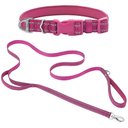 Frisco Outdoor Nylon Reflective Comfort Padded Collar, Boysenberry Purple, Extra Small, Neck: 8-12-in, Width: 5/8th -in + Dog Leash, Boysenberry Purple, Small - Length: 6-ft, Width: 5/8-in
