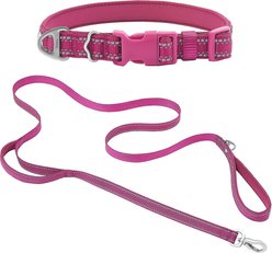 Frisco Outdoor Nylon Reflective Comfort Padded Collar, Boysenberry Purple, Medium - Neck: 14-20-in, Width: 3/4-in + Dog Leash, Boysenberry Purple, Medium - Length: 6-ft, Width: 3/4-in