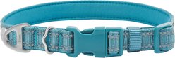 Frisco Outdoor Nylon Reflective Comfort Padded Dog Collar, Bayou Teal, SM - Neck: 10-14-in, Width: 5/8-in