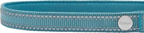 Show full view: Frisco Outdoor Nylon Reflective Comfort Padded Dog Collar, Bayou Teal, SM - Neck: 10-14-in, Width: 5/8-in slide 3 of 8